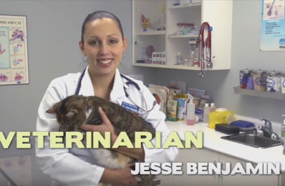 Veterinarian