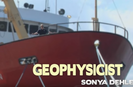 Geophysicist