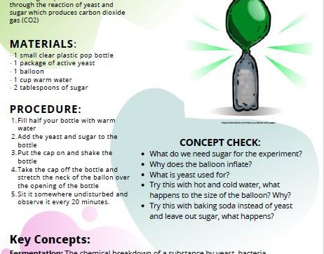 STEM at Home Activities